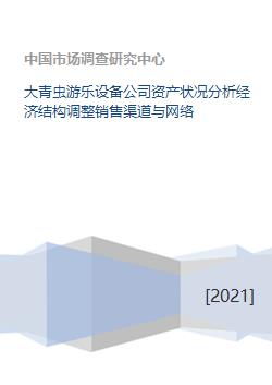 大青虫游乐设备公司资产状况分析经济结构调整销售渠道与网络